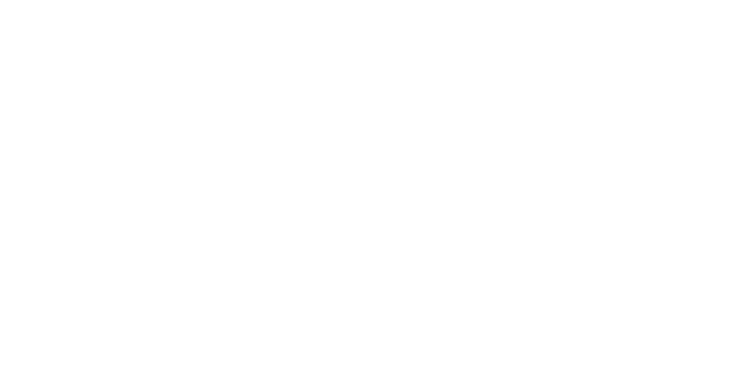 BIBIS 30 Años